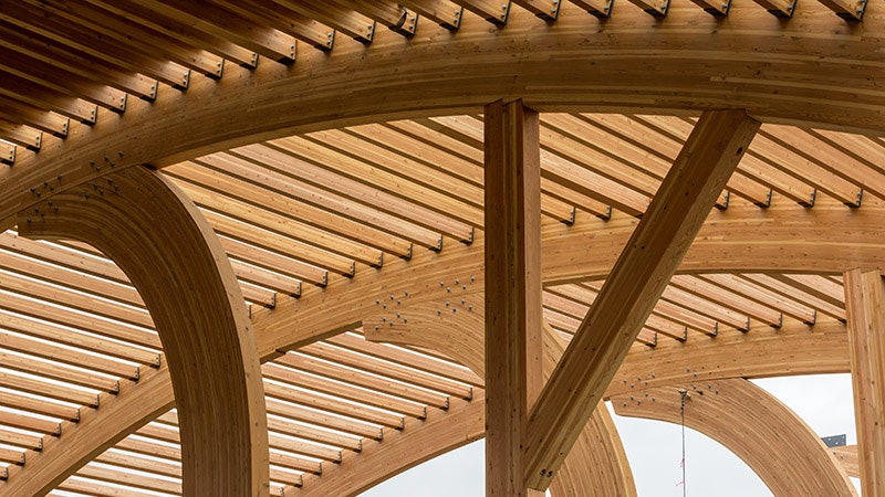 Timber Structures 101