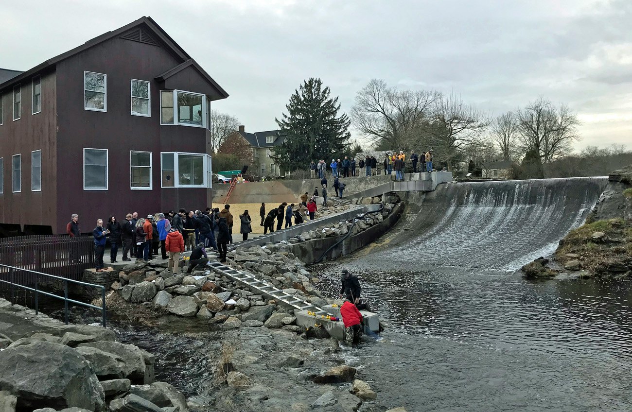 CBK fishway duck race 10 carousel.JPG