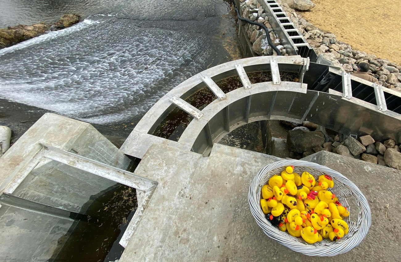 CBK fishway duck race 1 carousel.jpg