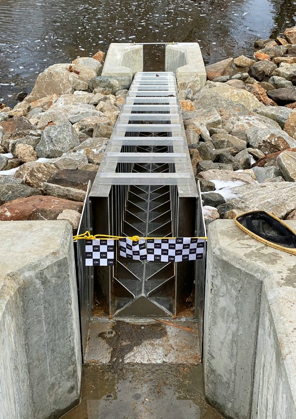 CBK fishway duck race 3 carousel.JPG