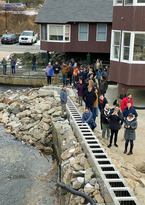 CBK fishway duck race 9 carousel.jpg