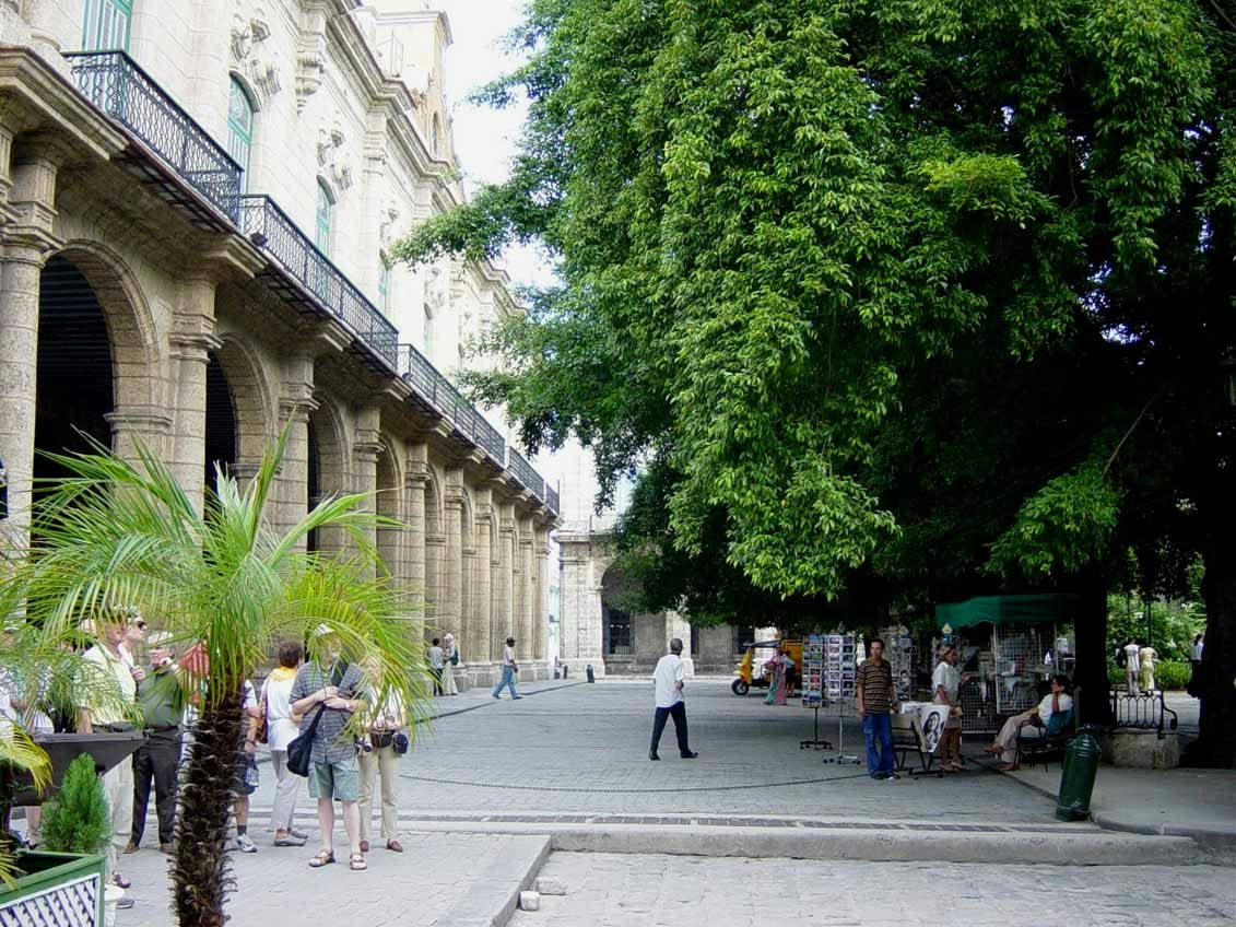 DSC00113.jpg