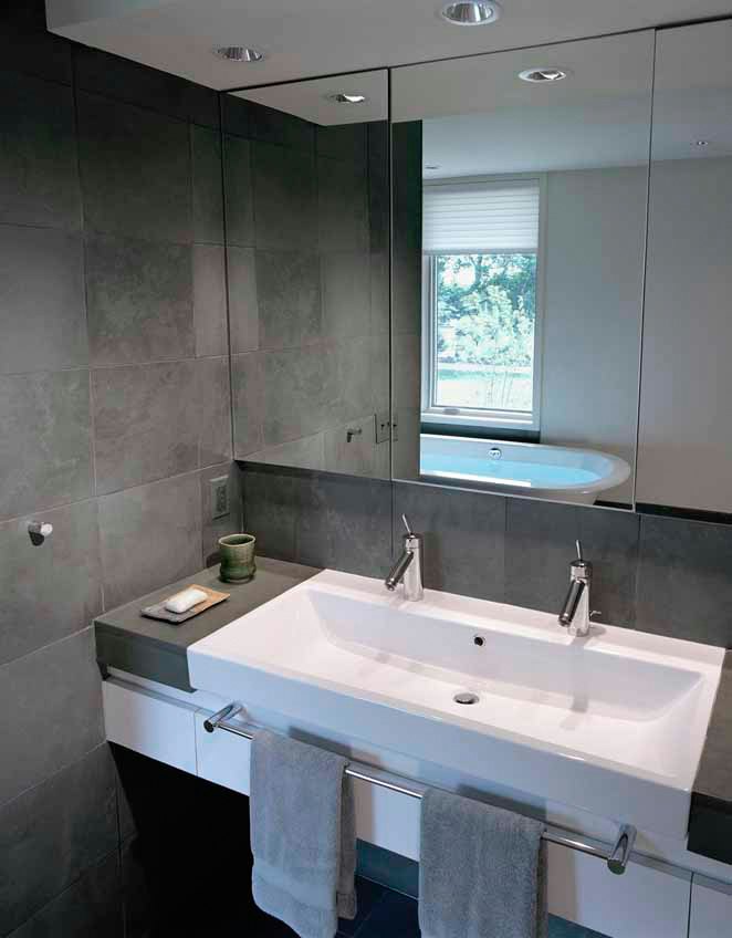 zimm-i2005AV29.jpg